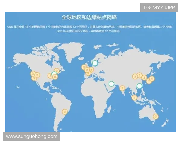 开云网络在全球业务拓展中的优势及应对挑战的方法