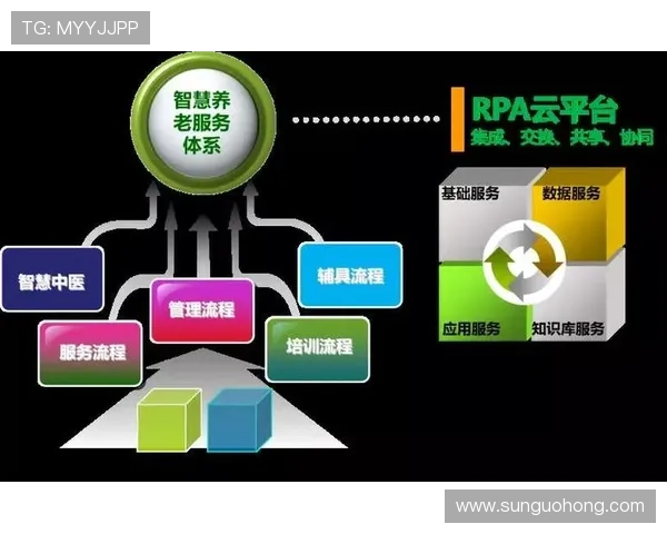 开云网址网址登录线路优化方案提升登录速度与稳定性 开云网址网址登录线路优化方案提升登录速度与稳定性