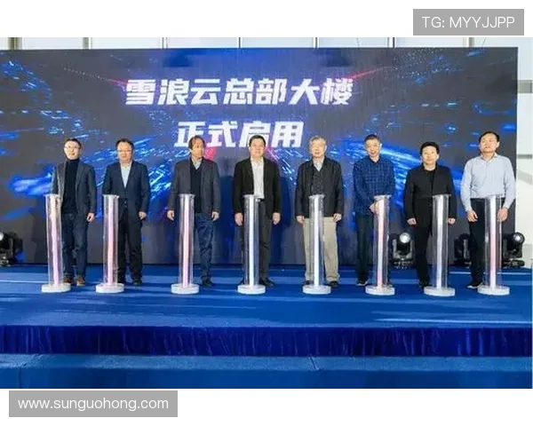 开云体育登录：常见登录问题及解决方案全方位解析