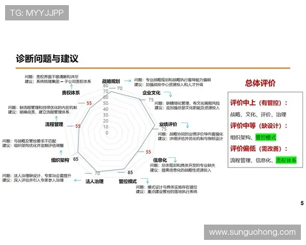 开云集团官网上的数字化转型举措与未来发展规划介绍