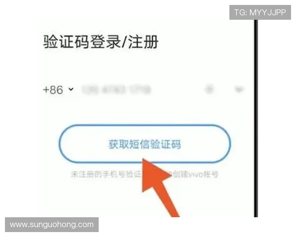 开云官方网站在线登录流程详解确保用户顺畅体验与账号安全保障