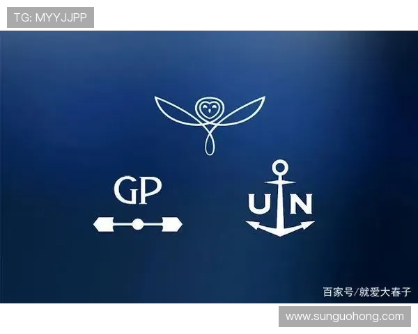 掌握开云网址登录入口的技巧提升登录效率和安全性